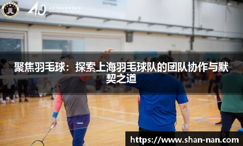 中欧体育官方入口